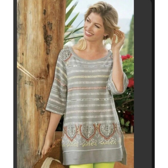 Soft Surroundings Artiste Tunic Top Striped Embroidered Beaded Gray XS New Boho - Picture 1 of 10
